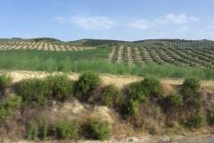 Andalusia-2015-36