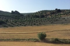 Andalusia-2015-38