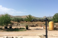 Andalusia-2015-59