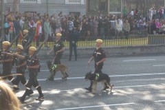 Madrid-2013-47