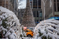 599534293_1285912010251564_57204886399120437_n