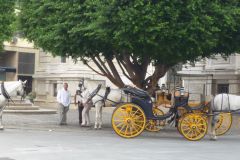 Siviglia-2010-37